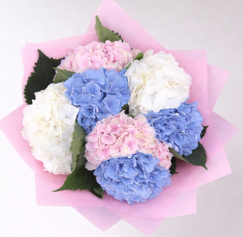 Hydrangea Bouquets